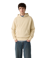 The Levi's® Mens Authentic Hoodie in Garment Dye Fog