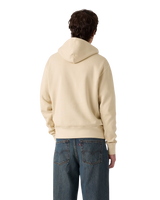 The Levi's® Mens Authentic Hoodie in Garment Dye Fog