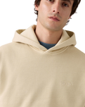 The Levi's® Mens Authentic Hoodie in Garment Dye Fog