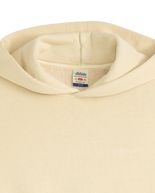 The Levi's® Mens Authentic Hoodie in Garment Dye Fog