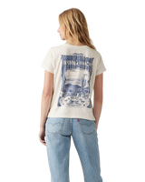 The Levi's® Womens Graphic Boxy T-Shirt in Canyon Poster