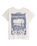 The Levi's® Womens Graphic Boxy T-Shirt in Canyon Poster