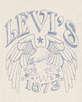 The Levi's® Womens Graphic Boxy T-Shirt in Oatmeal Heather