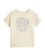 The Levi's® Womens Graphic Boxy T-Shirt in Oatmeal Heather