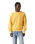 The Levi's® Mens Authentic Crewneck Sweatshirt Sweatshirt in Garment Dye Ochre