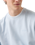 The Levi's® Mens Authentic Sweatshirt in Garment Dye Niagara Mist