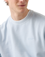 The Levi's® Mens Authentic Sweatshirt in Garment Dye Niagara Mist