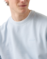 The Levi's® Mens Authentic Sweatshirt in Garment Dye Niagara Mist