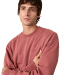 The Levi's® Mens Authentic Sweatshirt in Garment Dye Roan Rouge