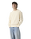 Authentic Sweatshirt in Garment Dye Rutabaga