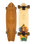 The Arbor Groundswell Sizzler 30.5" Skateboard in Multi