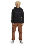The Quiksilver Boys Boys Graphic Hoodie in Black