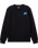 The Quiksilver Boys Boys Graphic Crew Sweatshirt in Black