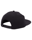 The Quiksilver Mens DNA Clicked Cap in Black