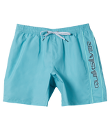 Everyday Vert Volley Shorts in Marine Blue