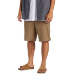 The Quiksilver Mens Carpenter Walkshorts in Timber Wolf
