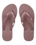 Viva IV Flip Flops in Brownie