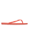 Viva IV Flip Flops in Camellia