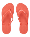Viva IV Flip Flops in Camellia