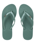 Viva IV Flip Flops in Oil Green