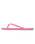 Viva IV Flip Flops in Plumeria