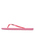 Viva IV Flip Flops in Plumeria