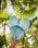 Slippy II Flip Flops in Tanger Turquoise