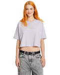 The Volcom Drumstone T-Shirt in Dusty Lavender | Available at Anns Cottage