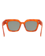 Belden Sunglasses in Brown Tortoise