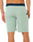 Mirage Core Boardshorts in Aloe