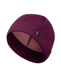 Storm Chaser Beanie in Rust