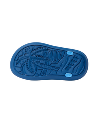 The Reef Boys Boys Totally Beachin Shoes in Blue & Light Blue