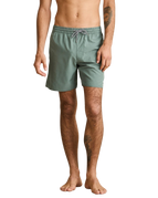Classic Volley Shorts in Silver Pine