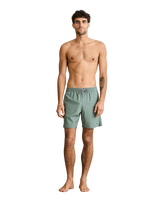 Classic Volley Shorts in Silver Pine