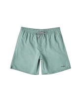 Classic Volley Shorts in Silver Pine