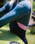 The C-Skins Womens NuWave Element 3/2mm Back Zip Wetsuit in Black, Forest Green & Rose