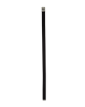 The Volcom Circle Web Belt in Black