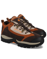 The DC Shoes Mens Recon Shoes in Brown & Brown