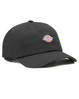 The Dickies Mens Hardwick Cap in Black