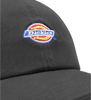 The Dickies Mens Hardwick Cap in Black