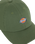 The Dickies Mens Hardwick Cap in Sea Spray