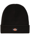 The Dickies Womens Gibsland Beanie in Black