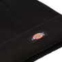 The Dickies Womens Gibsland Beanie in Black
