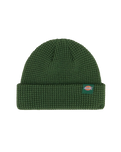 Woodworth Waffle Beanie in Pine Needle Green