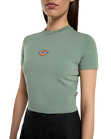 The Dickies Womens Maple Valley T-shirt in Sea Spray