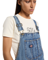 Bib Long Overall Dress in Rinsed Blue Fade