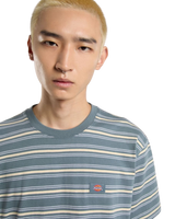 Lewistown Stripe T-Shirt in Stormy Weather