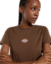Maple Valley Regular T-Shirt in Timber Brown