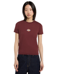 The Dickies Womens Maple Valley Regular T-Shirt in Andorra