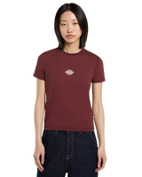 The Dickies Womens Maple Valley Regular T-Shirt in Andorra